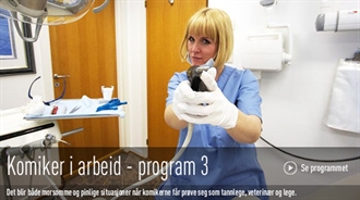 TV2 - Komiker i Arbeid